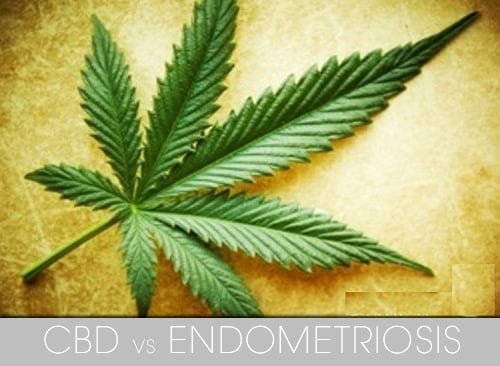 CBD vs Endometriosis