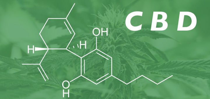 What Is CBD