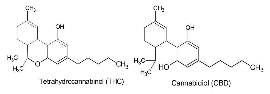 thc vs cbd