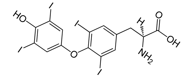 What is THC