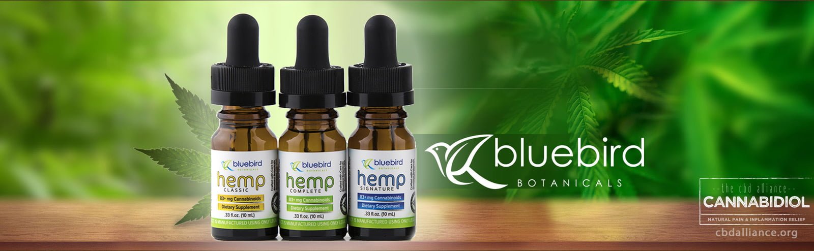 Bluebird Botanicals Takes The Lead In Reliable CBD Products