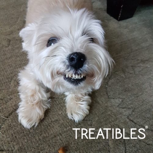 Treatibles
