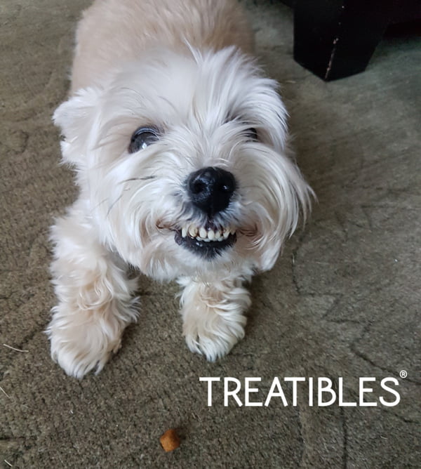 Treatibles CBD Dog Treats Review